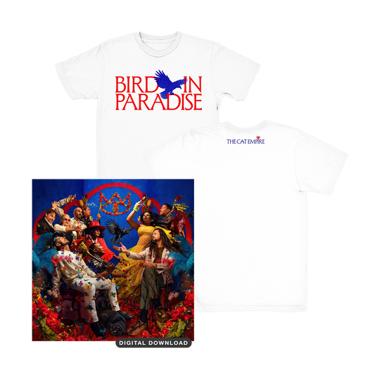 Cat empire t shirt online