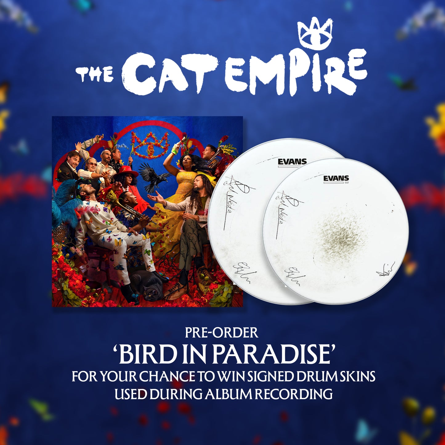 Bird in Paradise - Crimson Rosella Vinyl Album